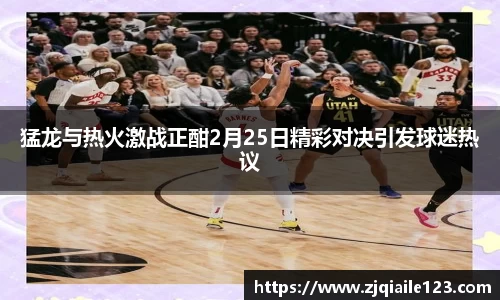 猛龙与热火激战正酣2月25日精彩对决引发球迷热议